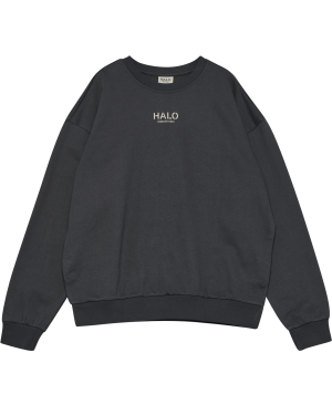 Halo Graphic Boxy Crew - Asphalt