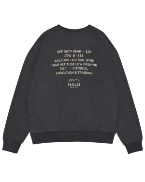 Halo Graphic Boxy Crew - Asphalt